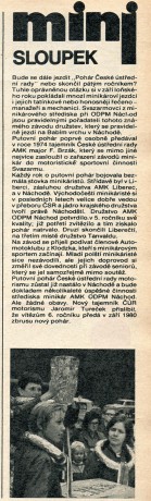 Pohár české ústřední rady
